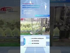 2L produkty czyszczące shengdailisha